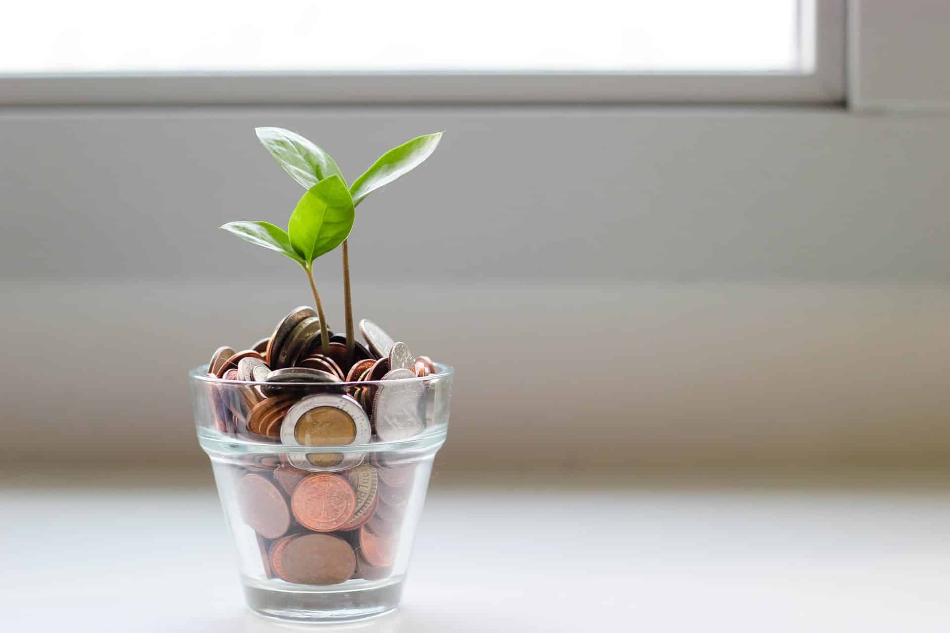 Eine kleine Pflanze wächst aus einem Glas mit Geldmünzen